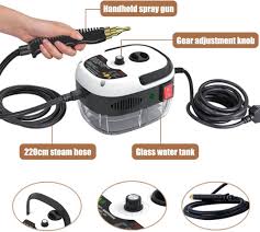 Portable Steam Cleaner Ⓢ